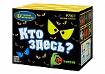 Кто здесь? (0,7" х 48)